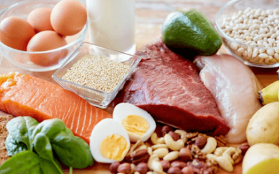 Pourquoi avoir une alimentation riche en protéine (environ 25-35%) lors d’une perte de poids
